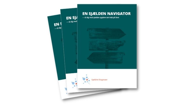 Navigator_forside2021