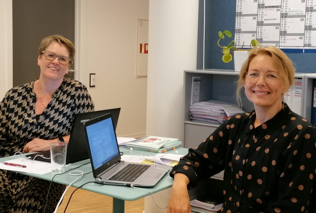 Webinar_raske søskende