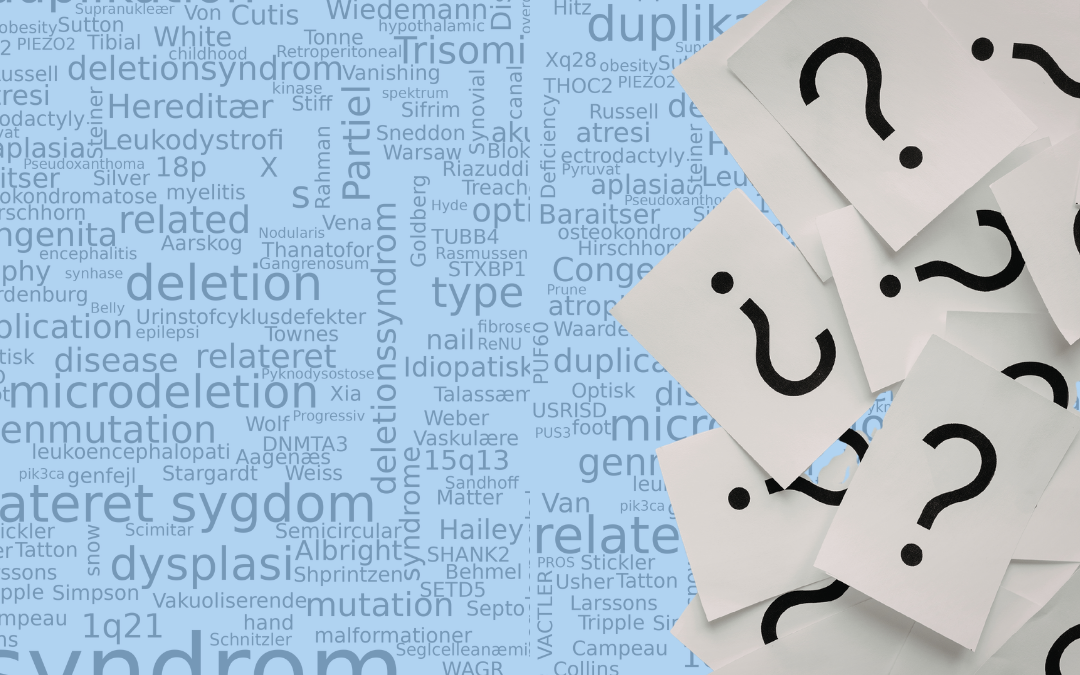 Temaartikel: Når kommunen ikke kender noget til din diagnose